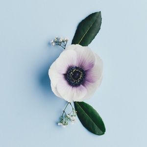 Meet your Posher, Marlen